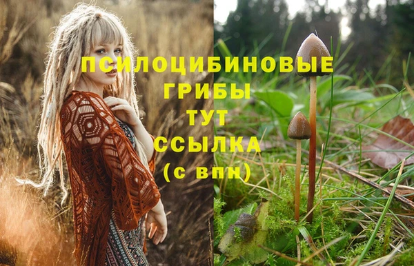 MESCALINE Арсеньев