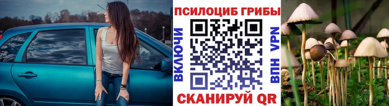 Псилоцибиновые грибы Magic Shrooms  Ахтубинск 