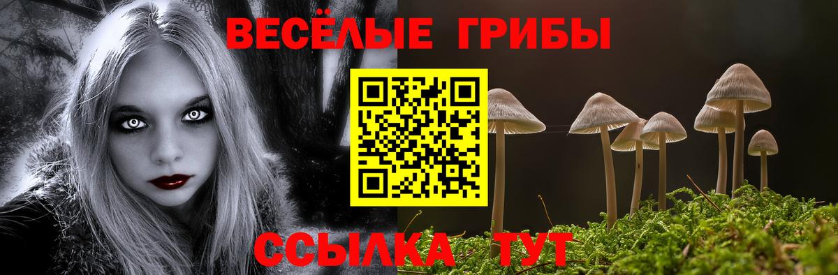 Псилоцибиновые грибы прущие грибы Ахтубинск